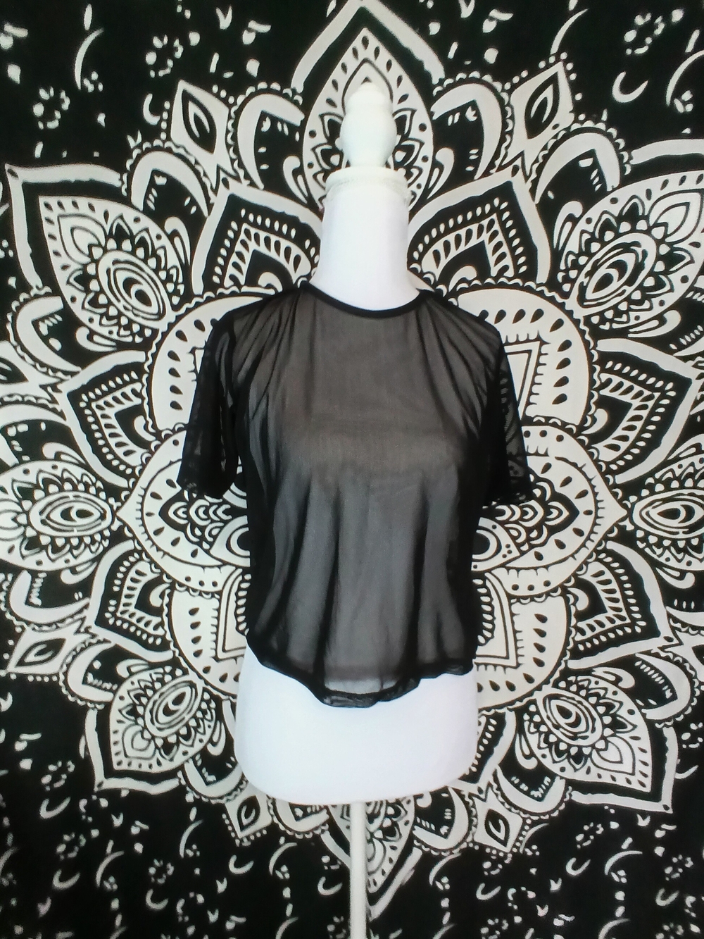 Semi-Sheer Black Short Sleeve Crop Top - Women